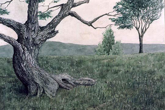 realist watercolor painting.�
        width=