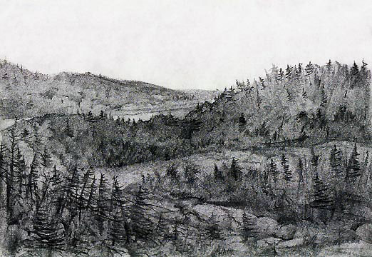 realist charcoal drawing.