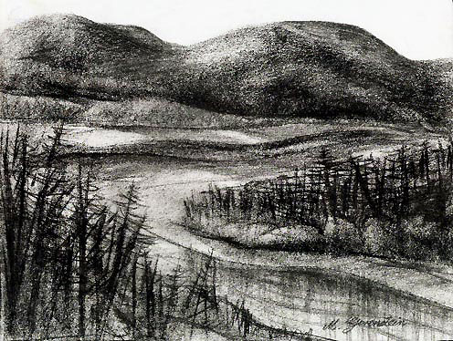 realist charcoal drawing.